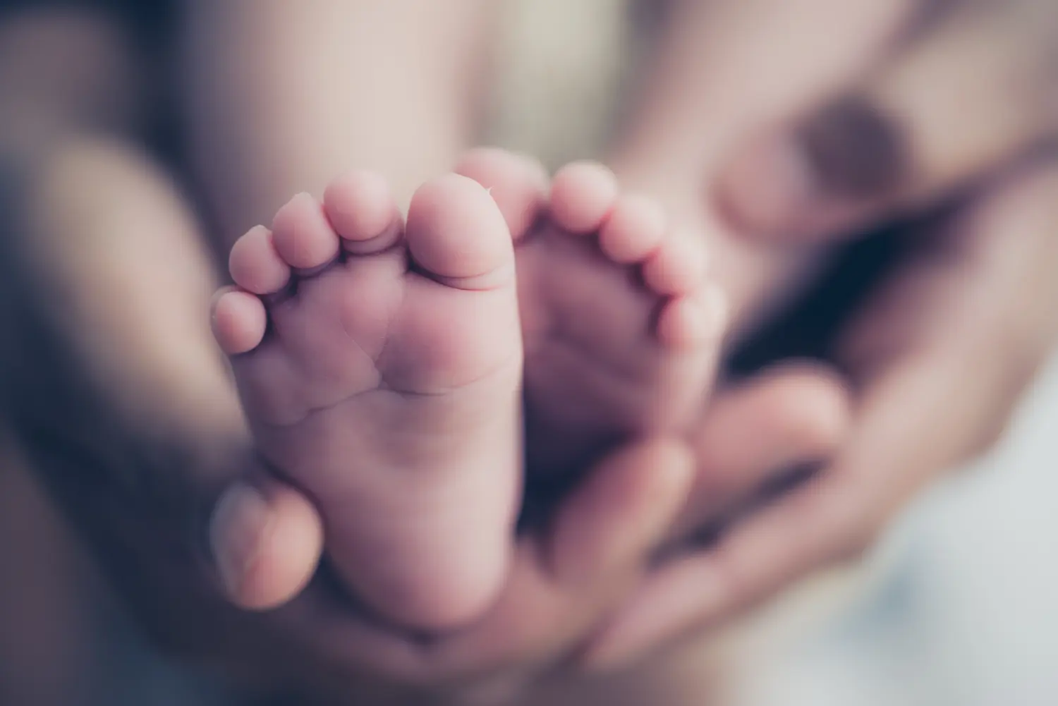 Füße eines neugeborenen Babys in den Händen der Eltern. Glückliche Familie bei der Aufnahme. Mama und Papa umarmen die Beine ihres Babys